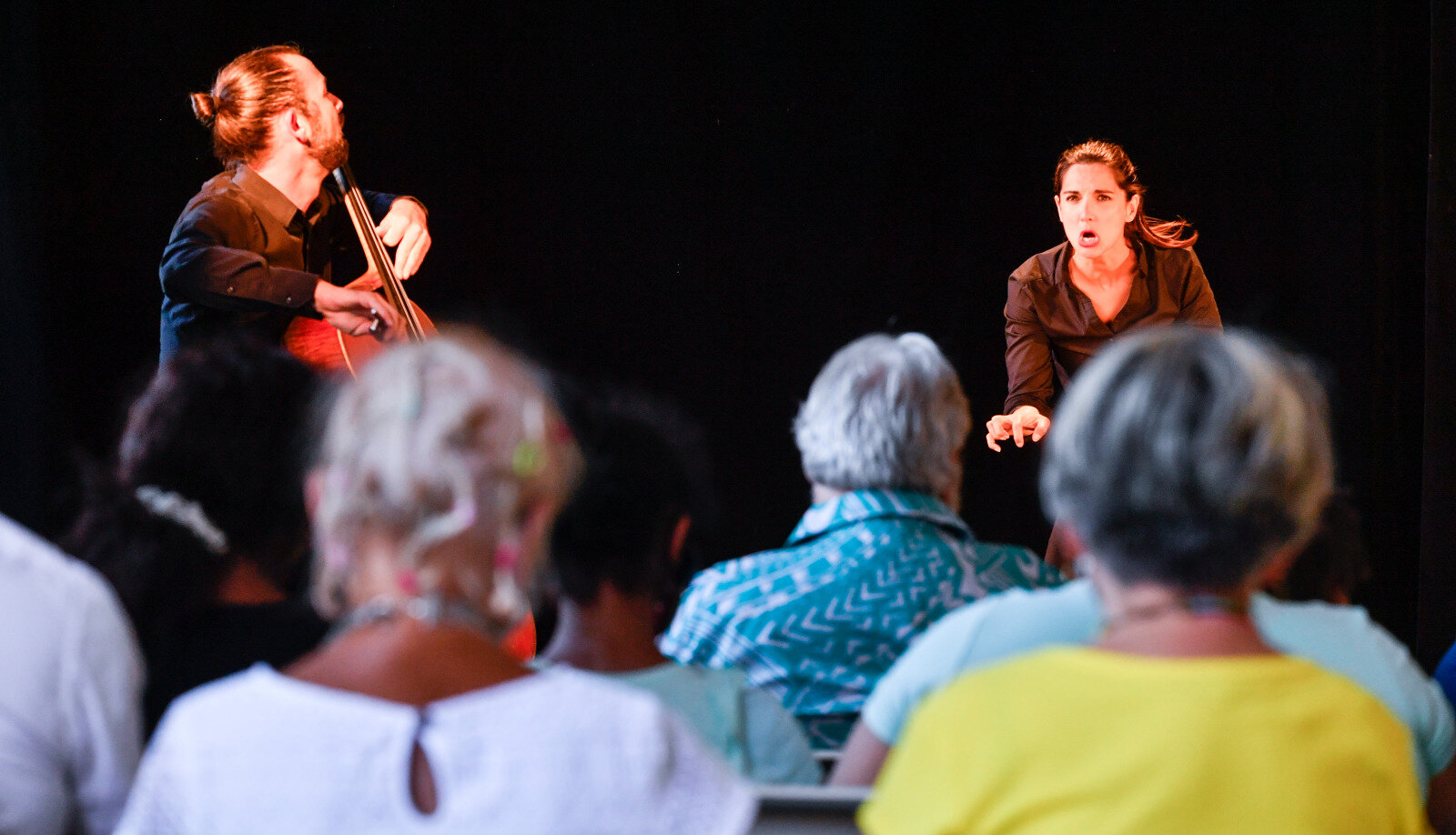 Concert ? Goupil ? les compagnons de Pierre Menard theatre musical et mime